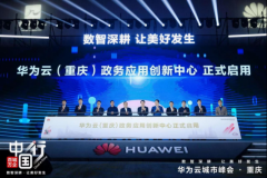 <b>云将联袂沉庆九龙坡区从政务使用立异、立异核</b>